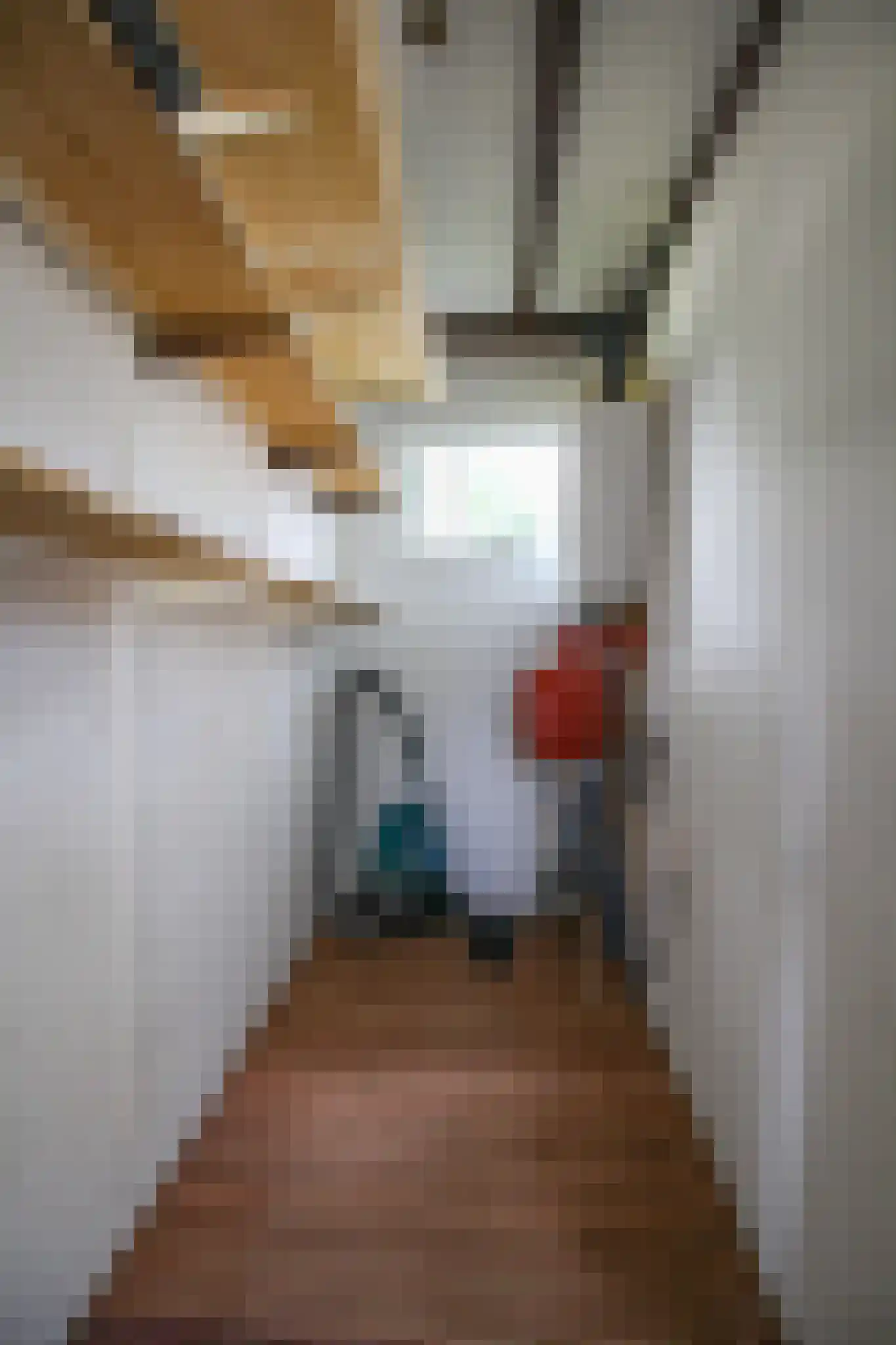 Zevenbergjesweg 29 48 Voorthuizen thumbnail 14