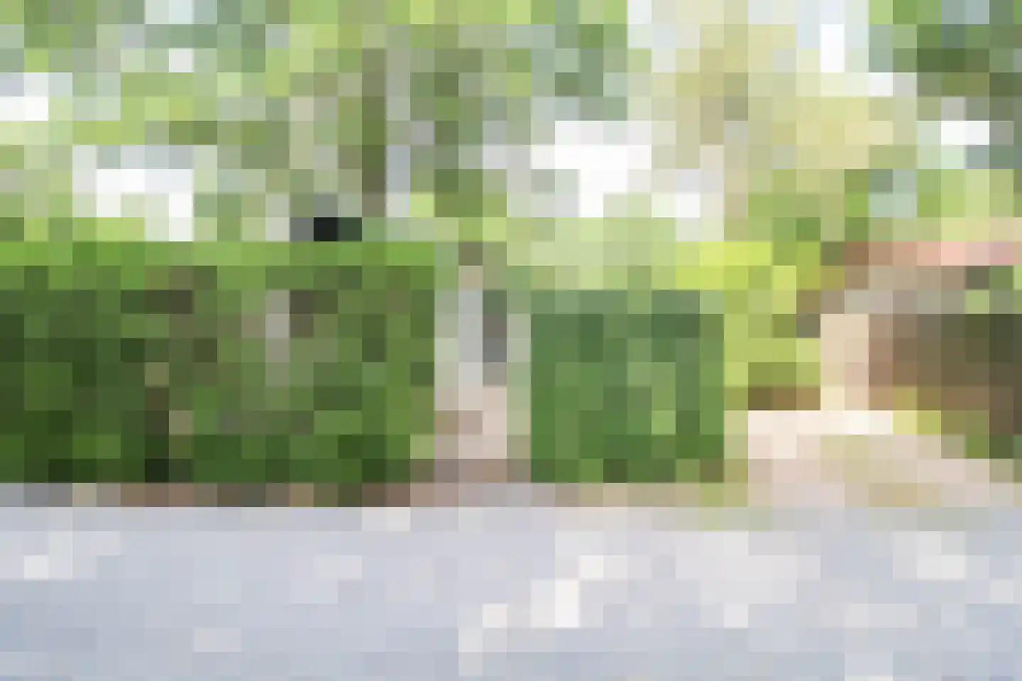 Zevenbergjesweg 29 48 Voorthuizen thumbnail 30