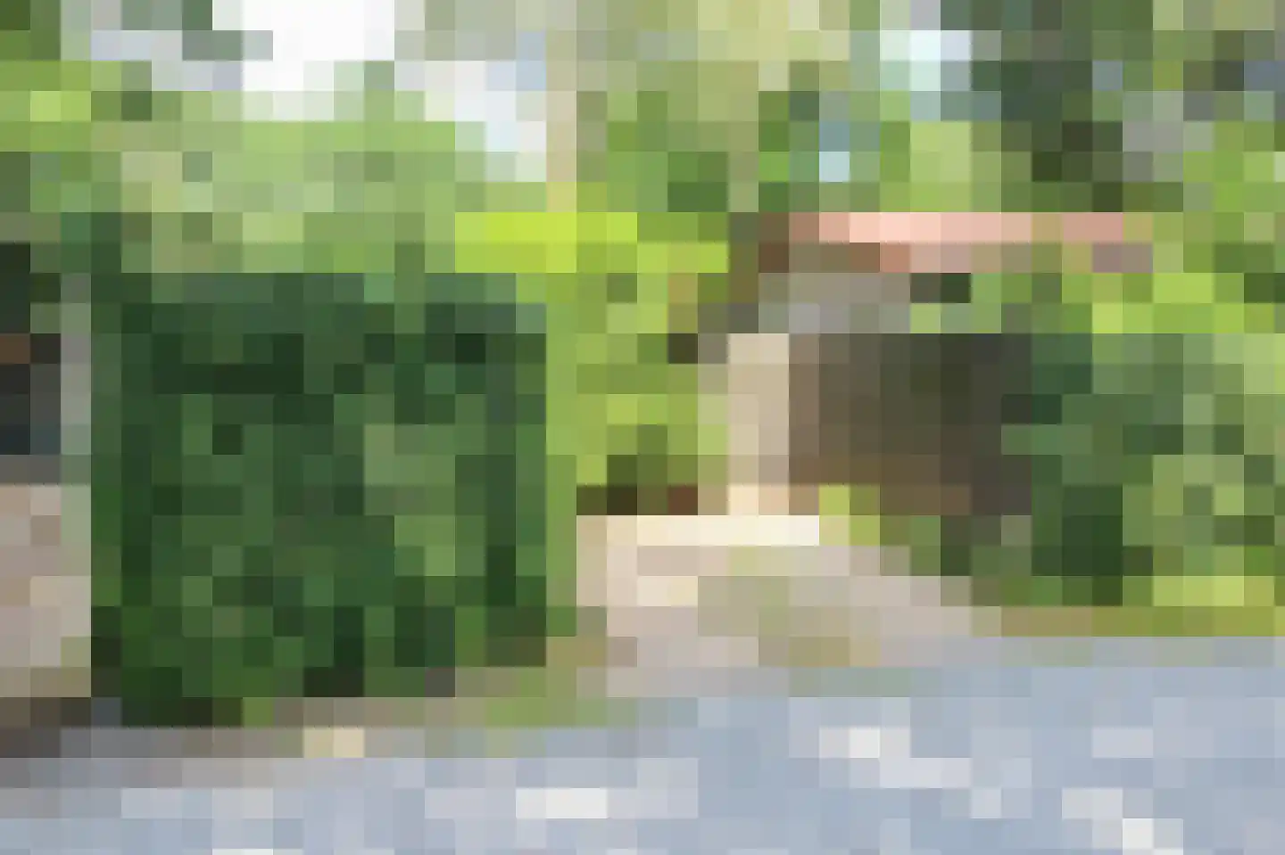 Zevenbergjesweg 29 48 Voorthuizen thumbnail 32