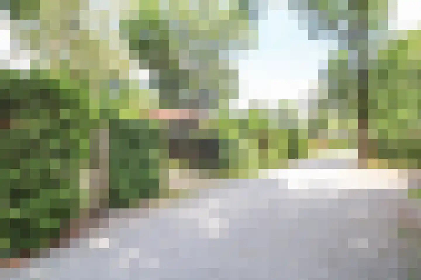 Zevenbergjesweg 29 48 Voorthuizen thumbnail 33