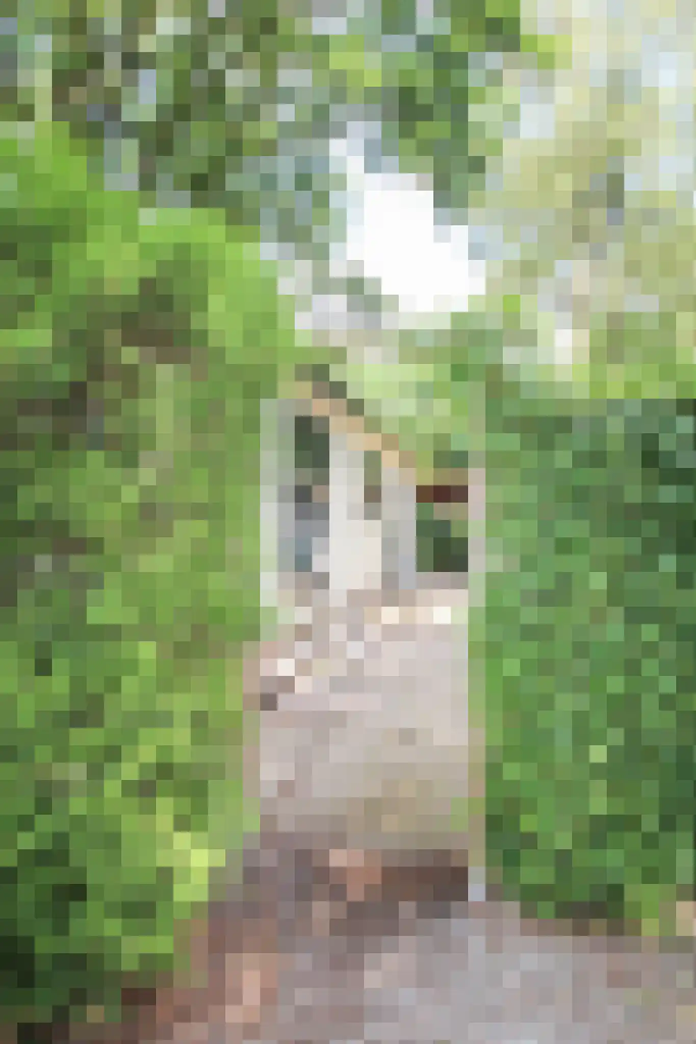 Zevenbergjesweg 29 48 Voorthuizen thumbnail 34