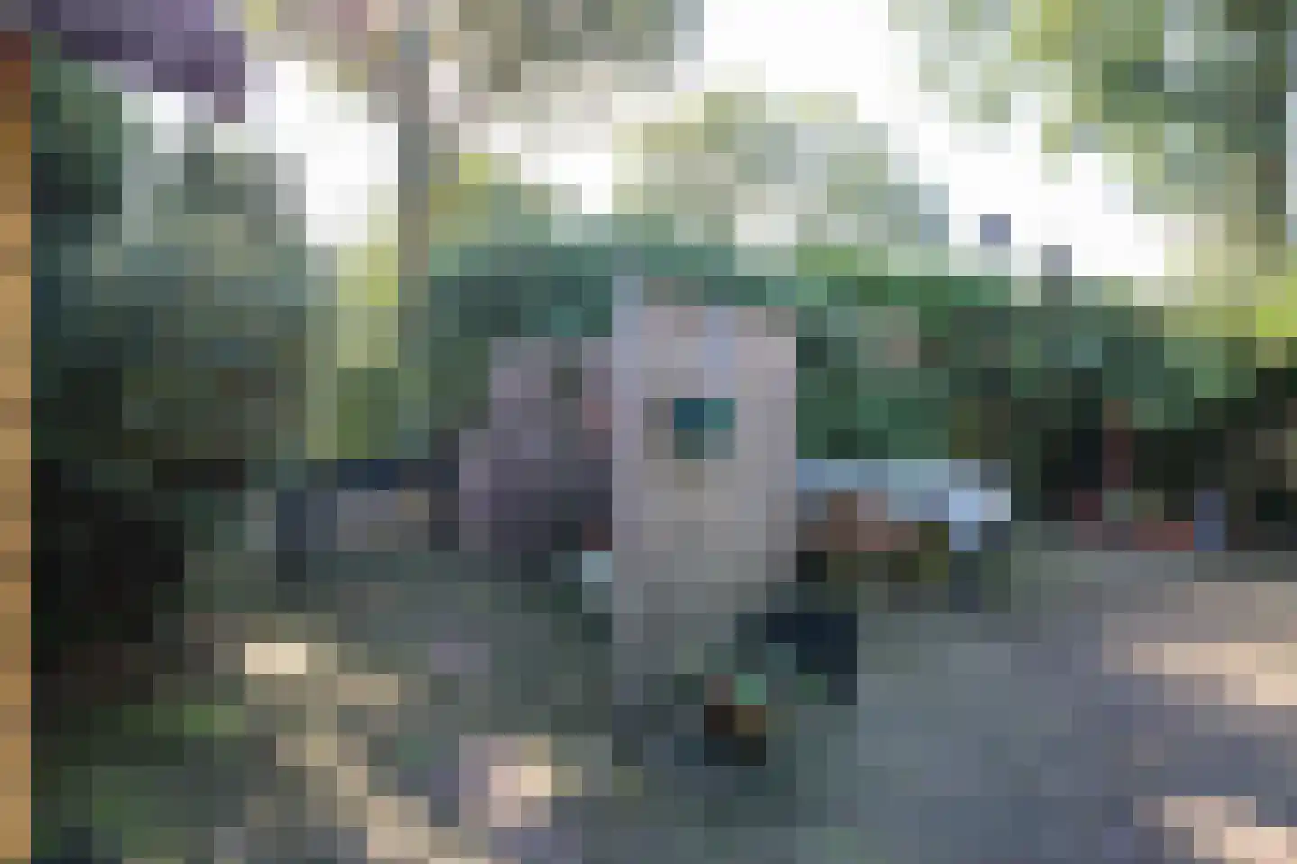 Zevenbergjesweg 29 56 Voorthuizen thumbnail 38