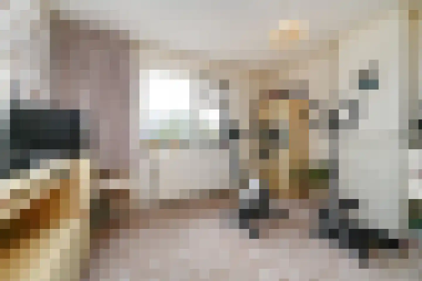 Zevenbergsedijkje 6 Rotterdam thumbnail 12