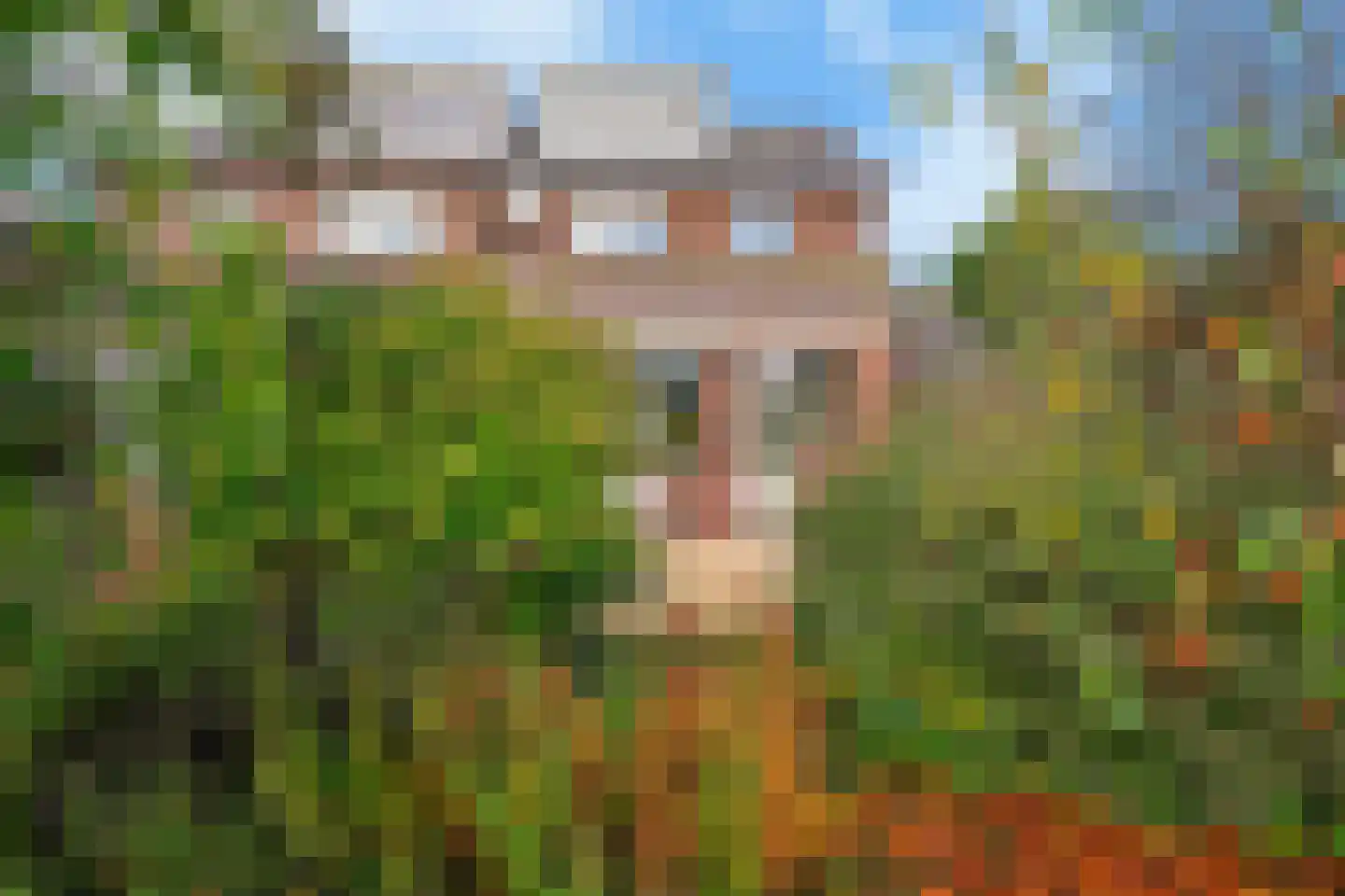 Zevenbergsedijkje 6 Rotterdam thumbnail 15