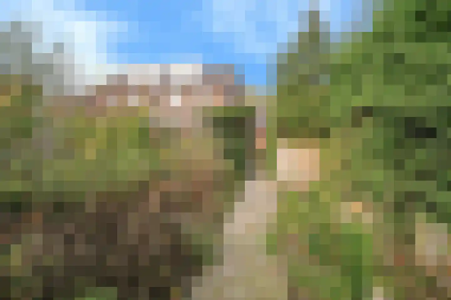 Zevenbergsedijkje 6 Rotterdam thumbnail 16
