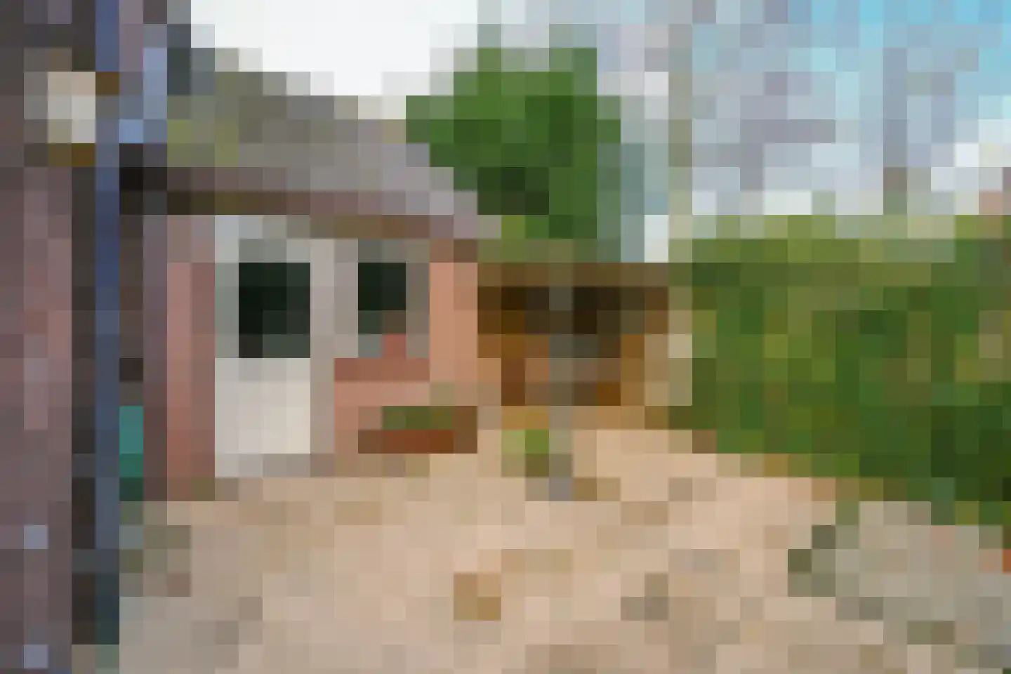 Zevenbergsedijkje 6 Rotterdam thumbnail 17