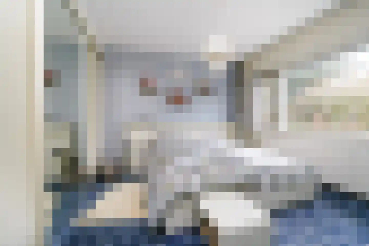 Zevenbergsedijkje 6 Rotterdam thumbnail 4