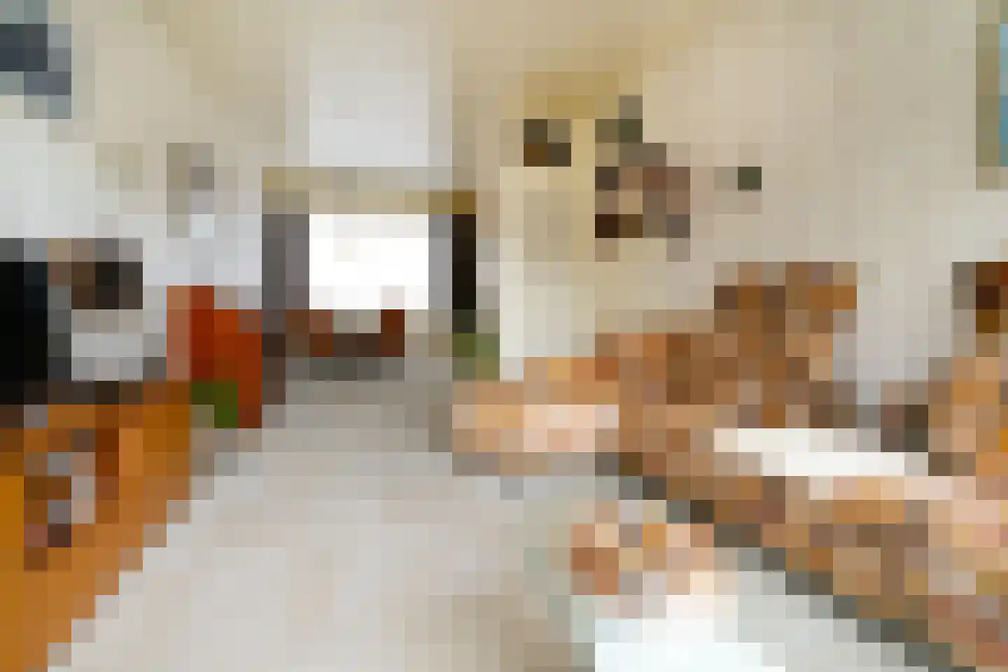 Zevenbergsedijkje 6 Rotterdam thumbnail 7
