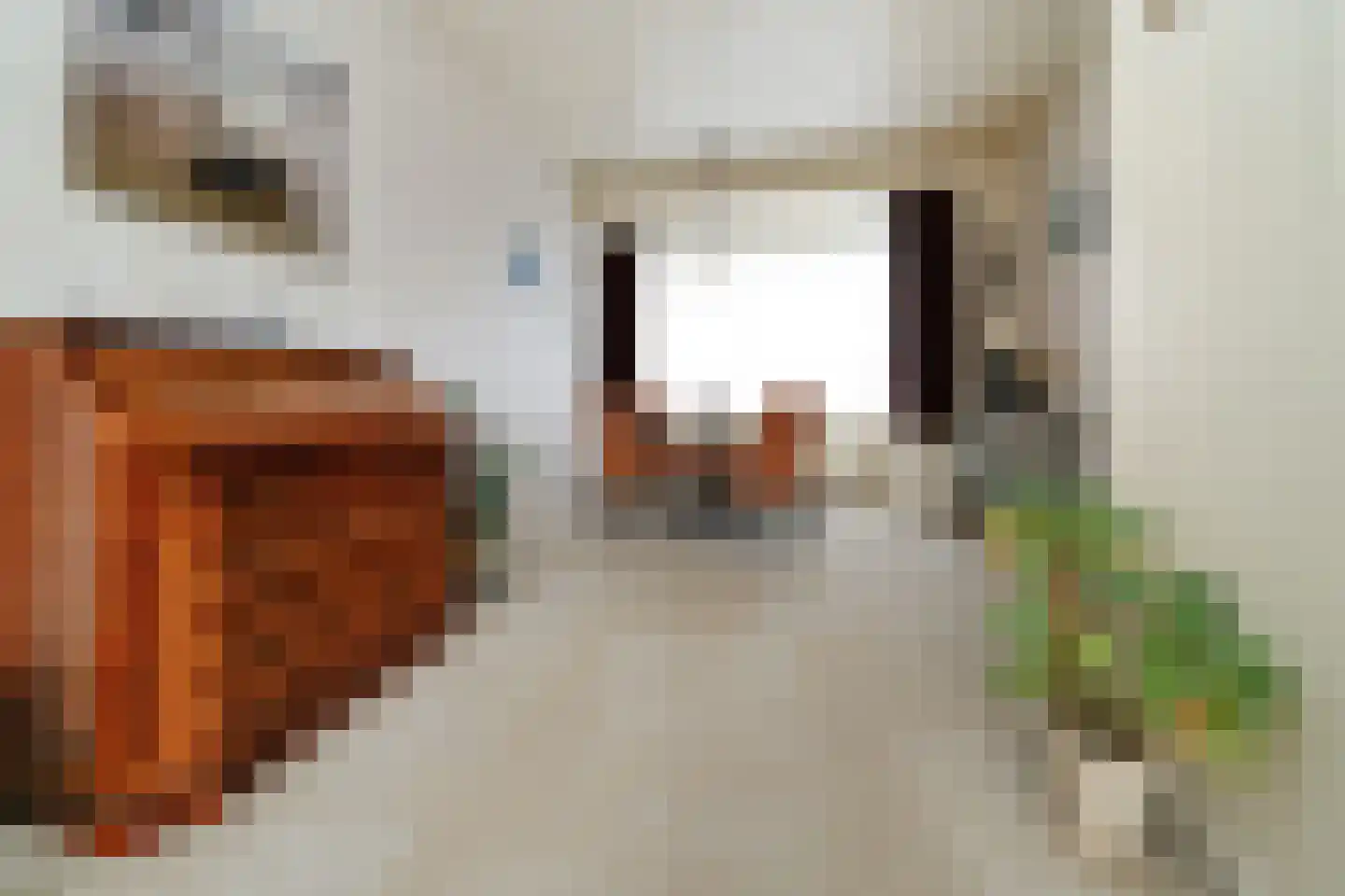 Zevenbergsedijkje 6 Rotterdam thumbnail 8