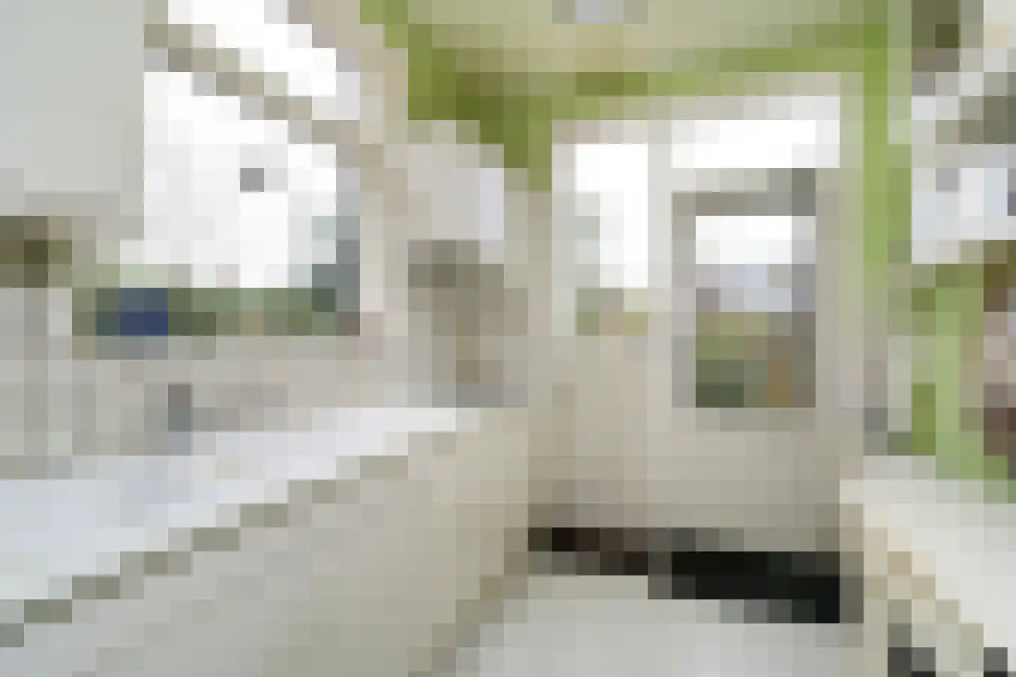 Zevenbergsedijkje 6 Rotterdam thumbnail 9