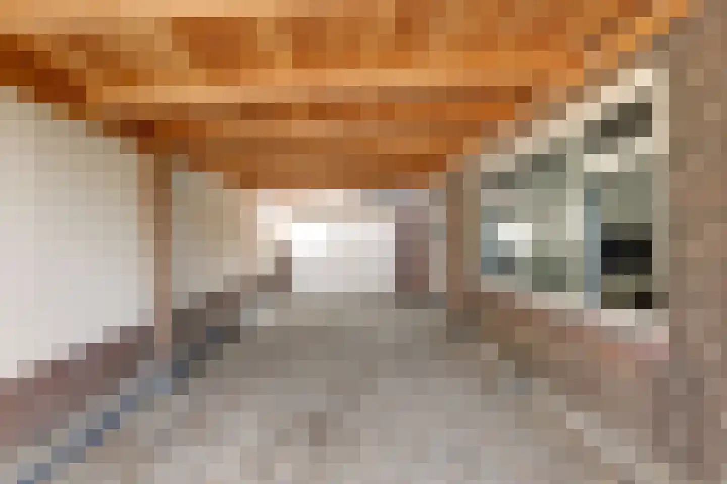 Zevenbergsedijkje 95 Rotterdam thumbnail 23