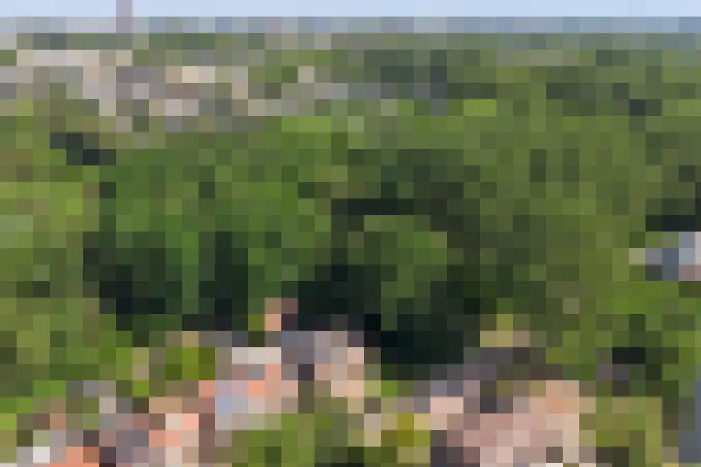 Zevenbergsedijkje 95 Rotterdam thumbnail 33
