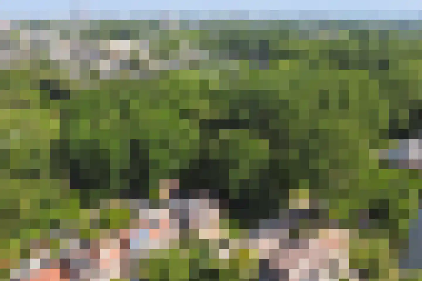 Zevenbergsedijkje 95 Rotterdam thumbnail 34