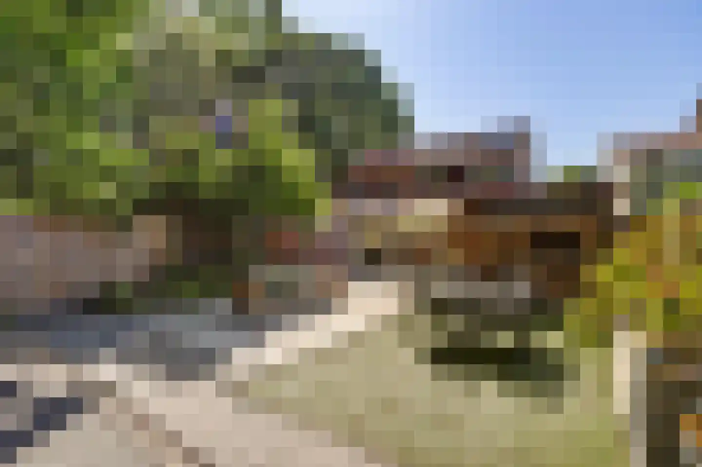 Zevenbergsedijkje 95 Rotterdam thumbnail 5