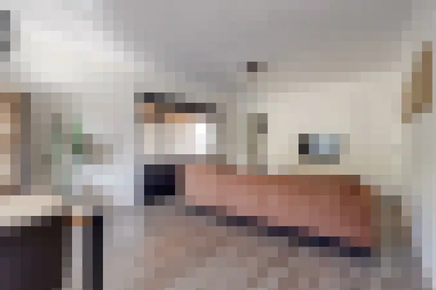 Zevenbergsedijkje 95 Rotterdam thumbnail 7