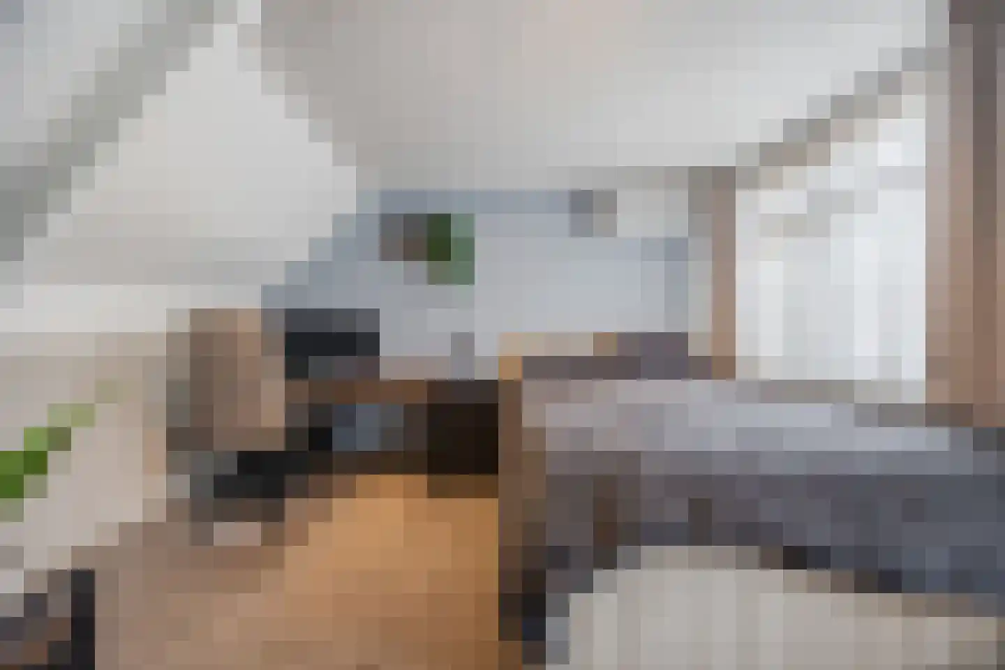 Zevenbergsepoort 54 Klundert thumbnail 42