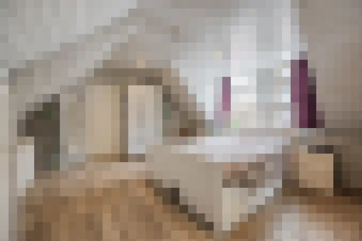Zevenbergsepoort 54 Klundert thumbnail 47