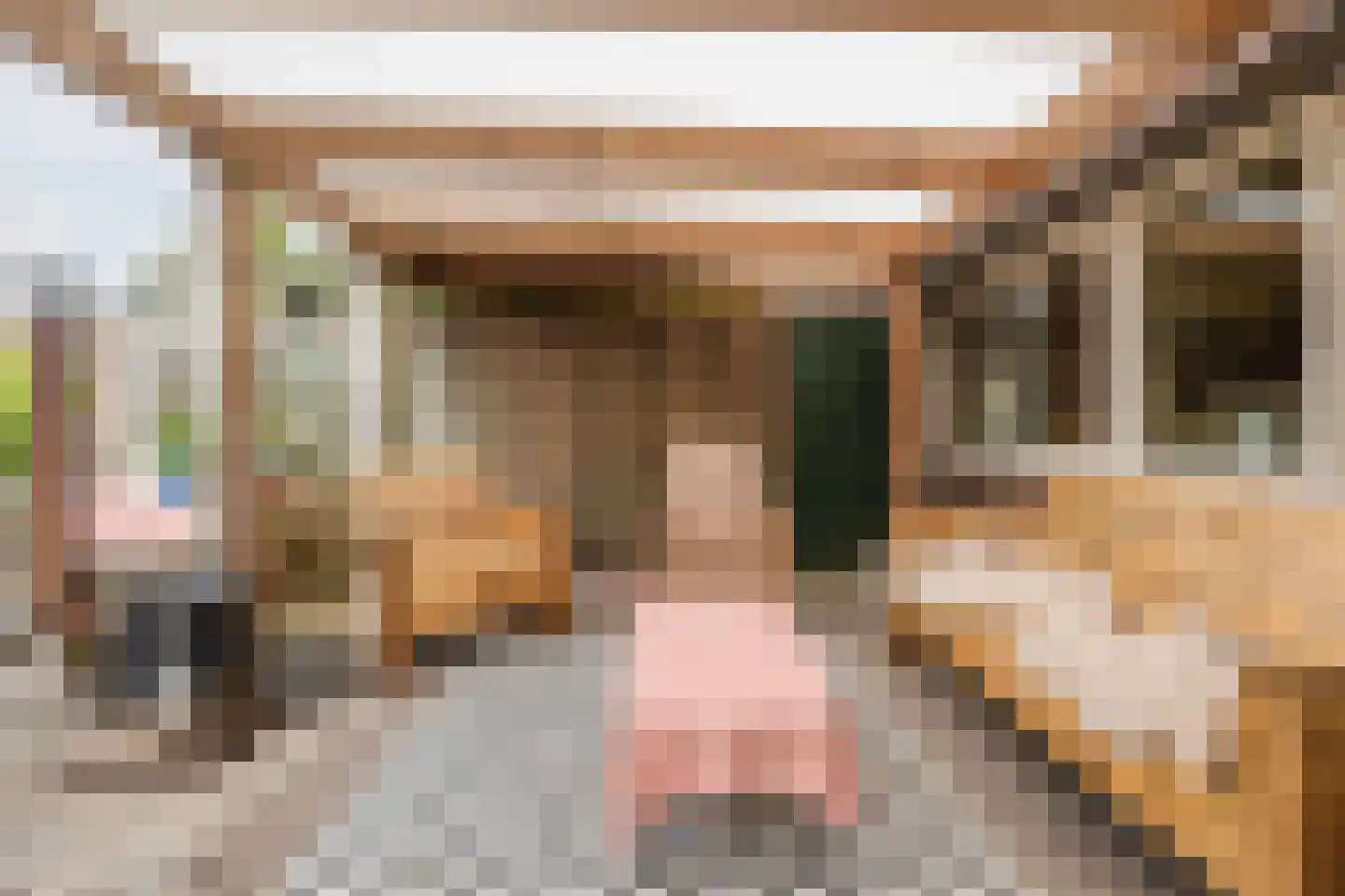Zevenbergsepoort 54 Klundert thumbnail 53