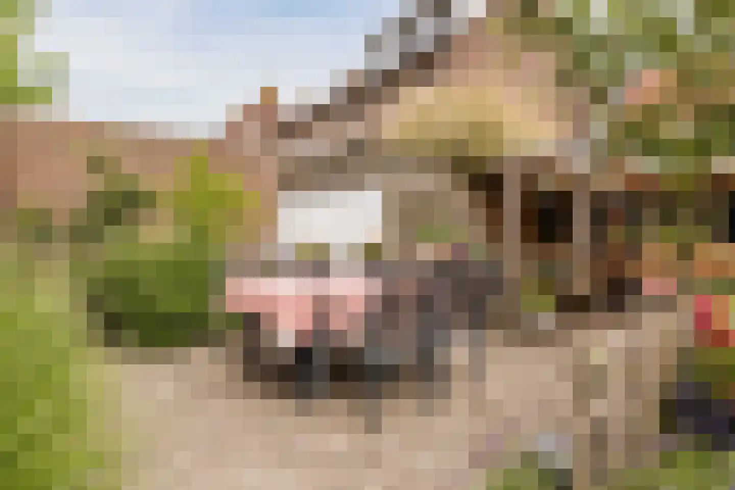 Zevenbergsepoort 54 Klundert thumbnail 59