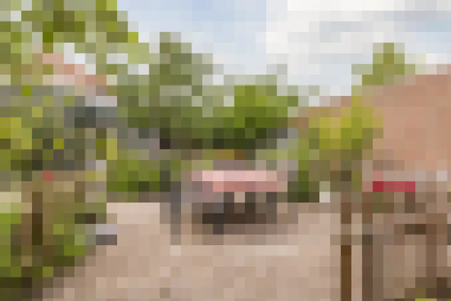 Zevenbergsepoort 54 Klundert thumbnail 66