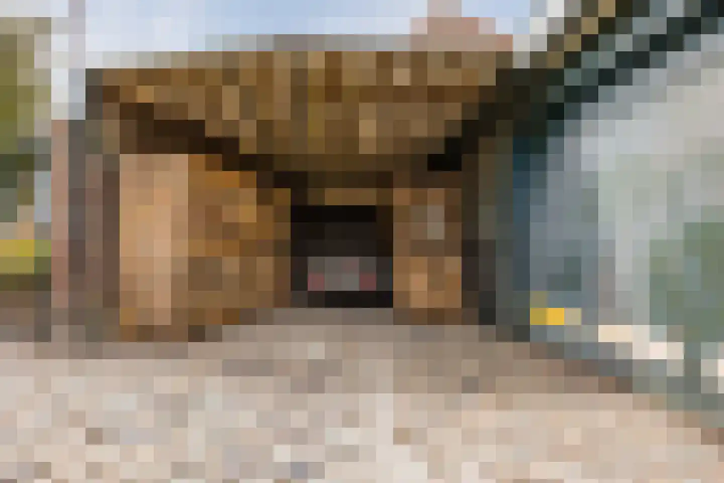 Zevenbergsepoort 54 Klundert thumbnail 78