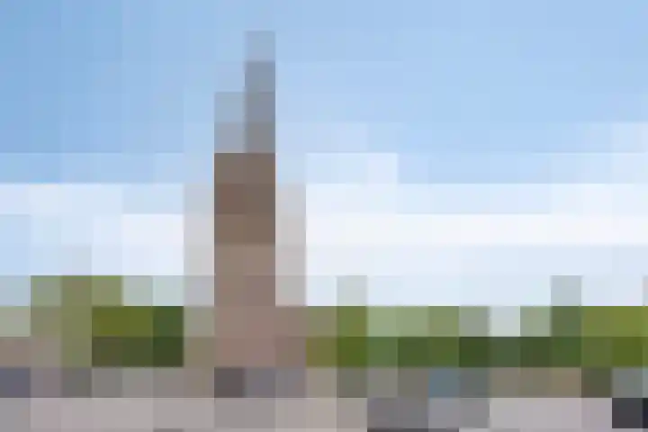 Zevenbergseweg 1 Berghem thumbnail 25