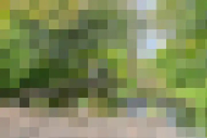 Zevenbergseweg 23 A Berghem thumbnail 33