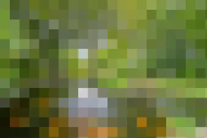 Zevenbergseweg 23 A Berghem thumbnail 35