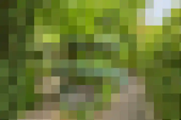 Zevenbergseweg 23 A Berghem thumbnail 37
