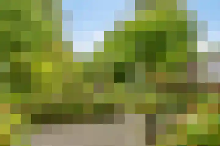 Zevenbergseweg 23 A Berghem thumbnail 38