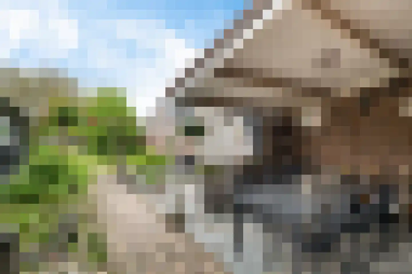 Zevenbergseweg 30 Berghem thumbnail 32