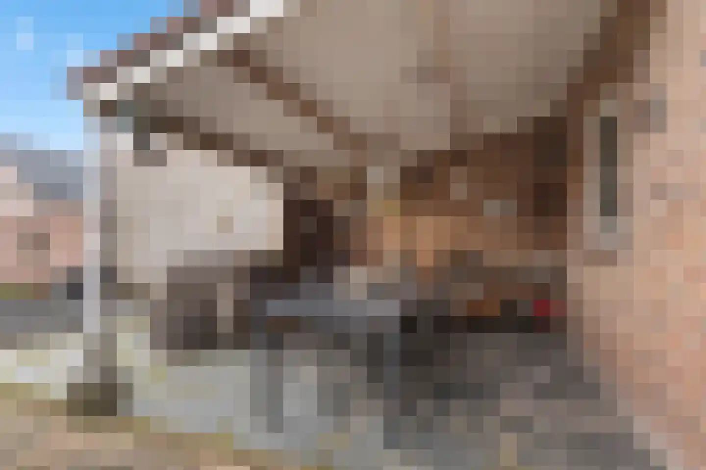 Zevenbergseweg 30 Berghem thumbnail 34