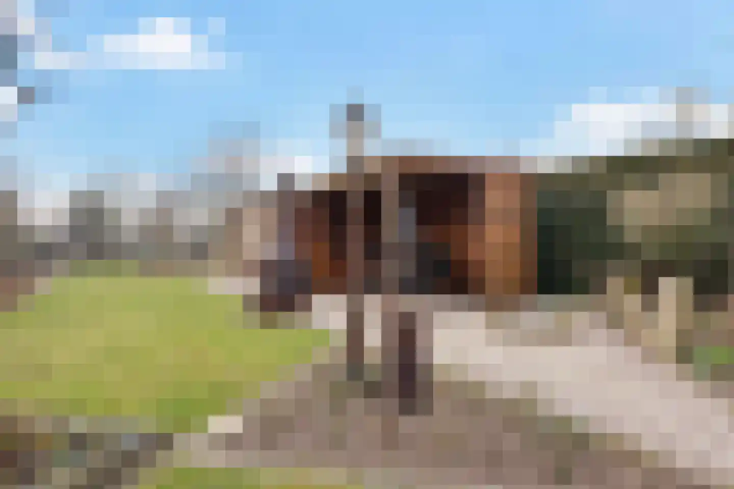 Zevenbergseweg 30 Berghem thumbnail 43