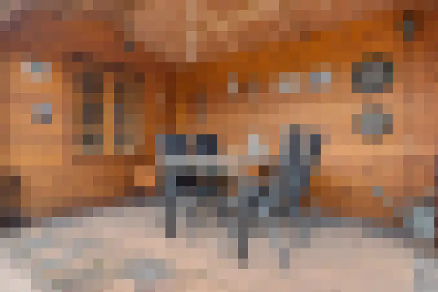 Zevenbergseweg 30 Berghem thumbnail 44