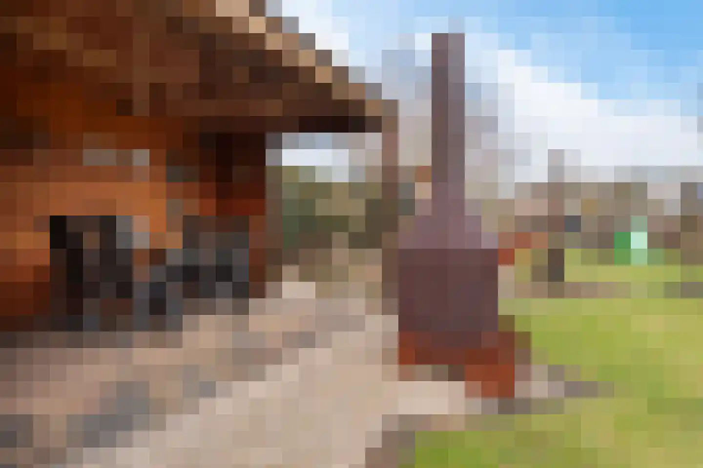 Zevenbergseweg 30 Berghem thumbnail 45