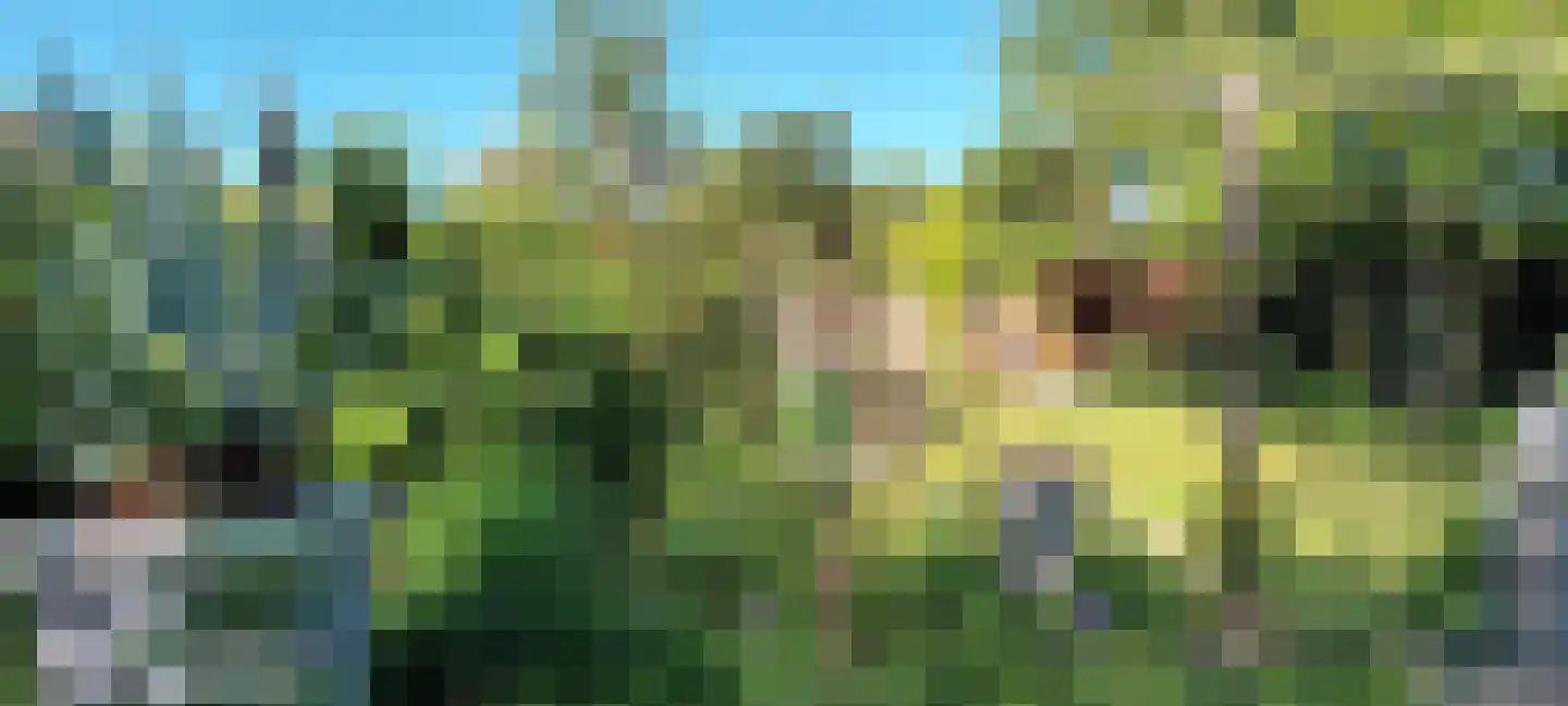 Zevenbergseweg 30 Berghem thumbnail 47