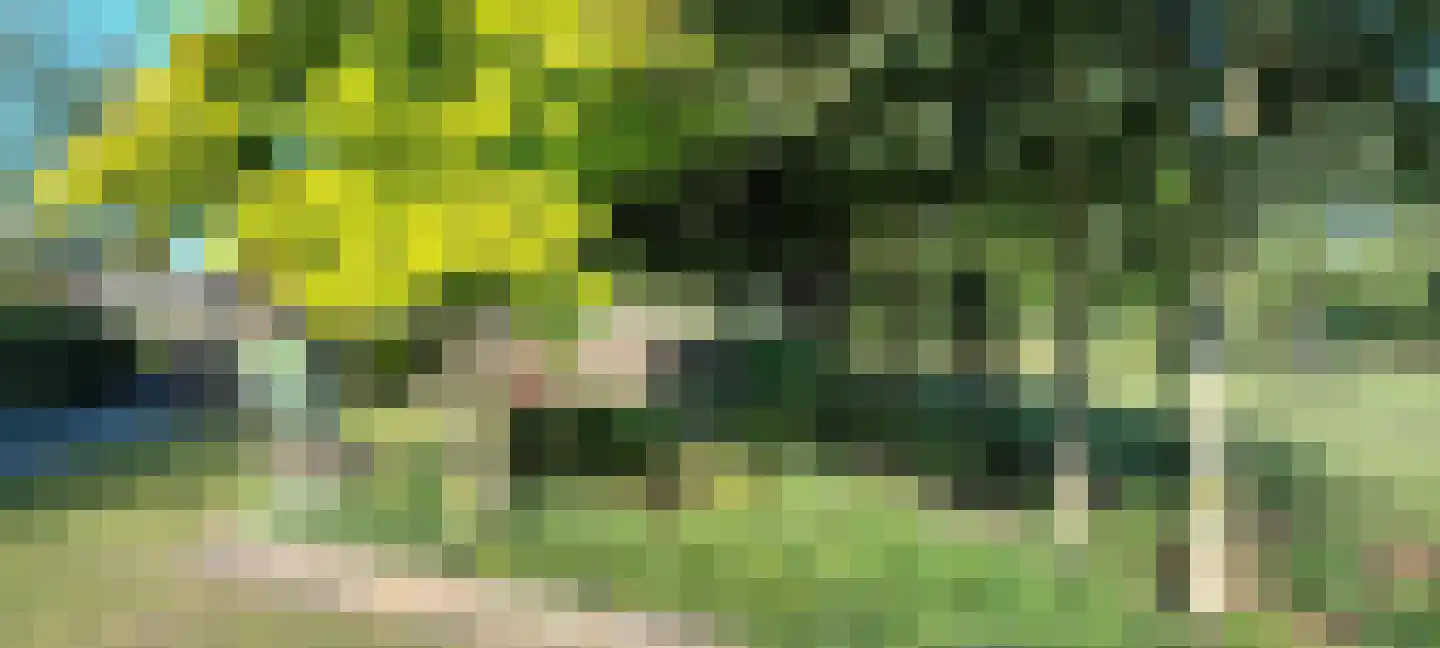 Zevenbergseweg 30 Berghem thumbnail 48