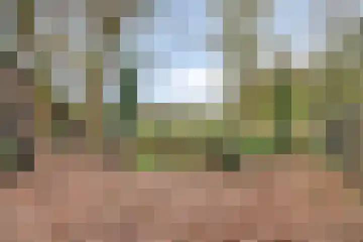 Zevenbergseweg 50 A Berghem thumbnail 50