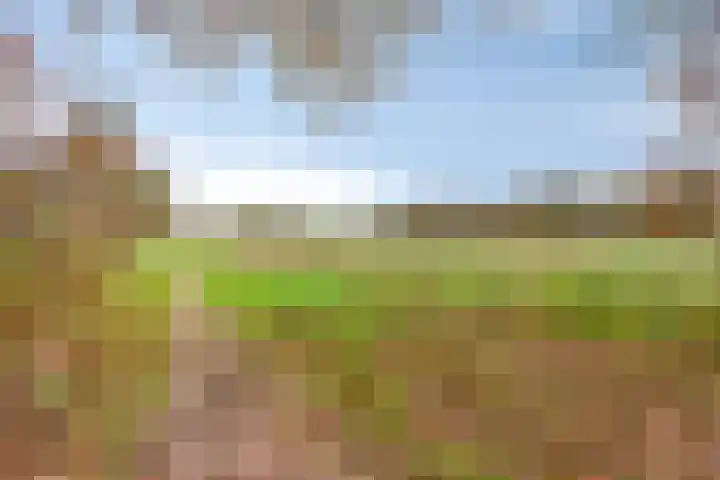 Zevenbergseweg 50 A Berghem thumbnail 53