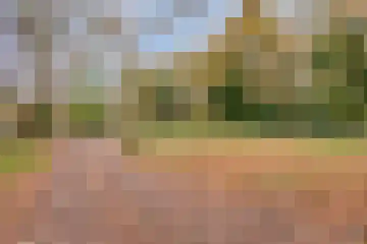 Zevenbergseweg 50 A Berghem thumbnail 6