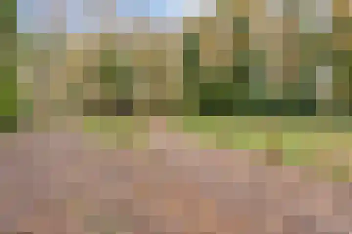 Zevenbergseweg 50 A Berghem thumbnail 7