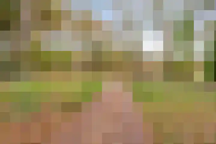Zevenbergseweg 50 A Berghem thumbnail 8