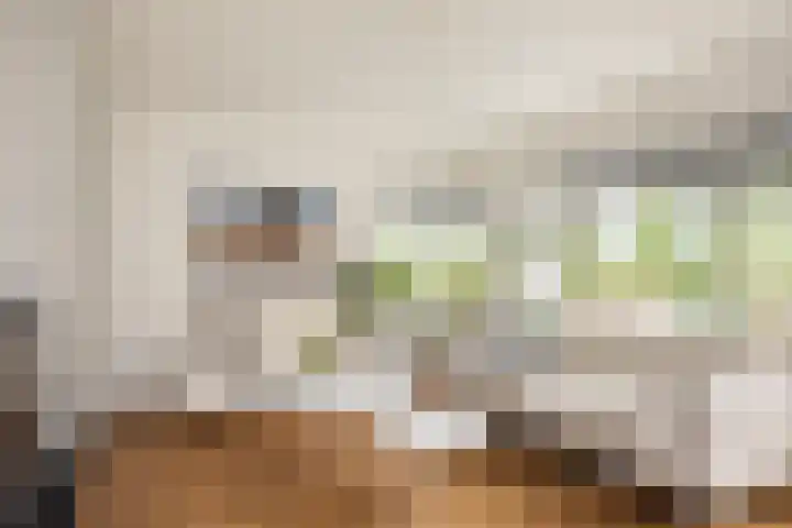 Zevenblad 14 Borne thumbnail 10