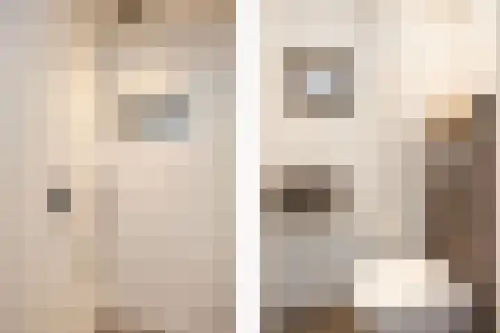 Zevenblad 14 Borne thumbnail 23