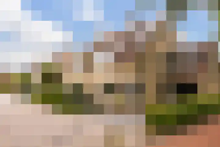 Zevenblad 14 Borne thumbnail 30