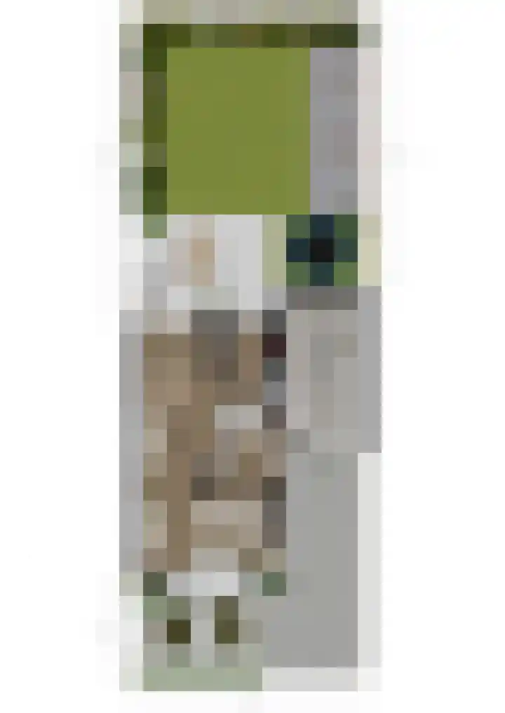 Zevenblad 14 Borne thumbnail 35