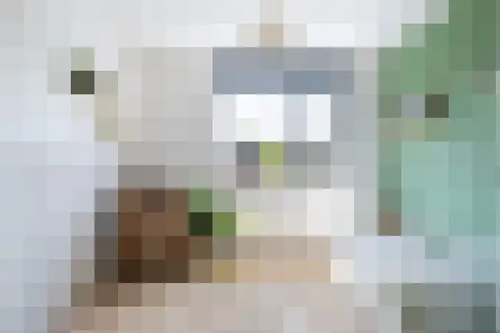 Zevenblad 16 De Meern thumbnail 18