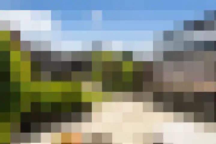 Zevenblad 16 De Meern thumbnail 27