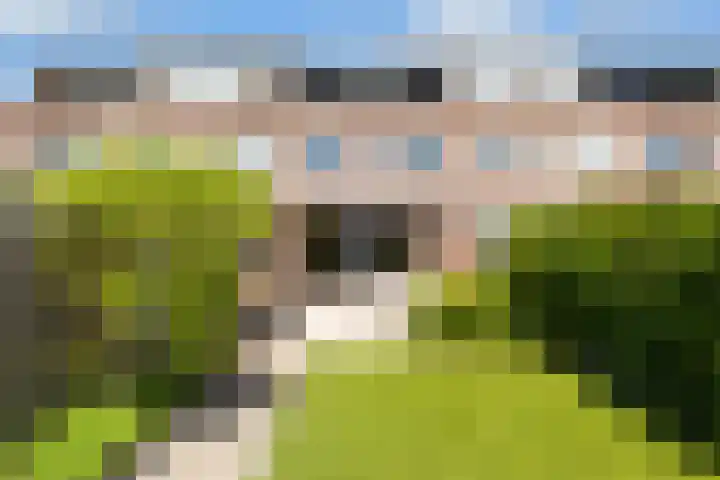 Zevenblad 16 De Meern thumbnail 28