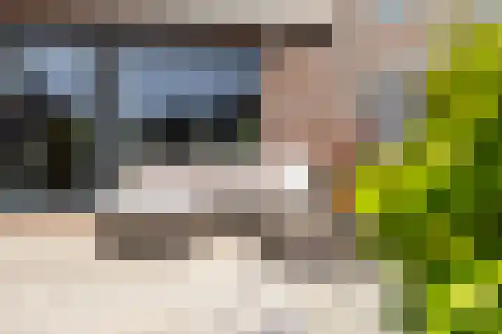 Zevenblad 16 De Meern thumbnail 29